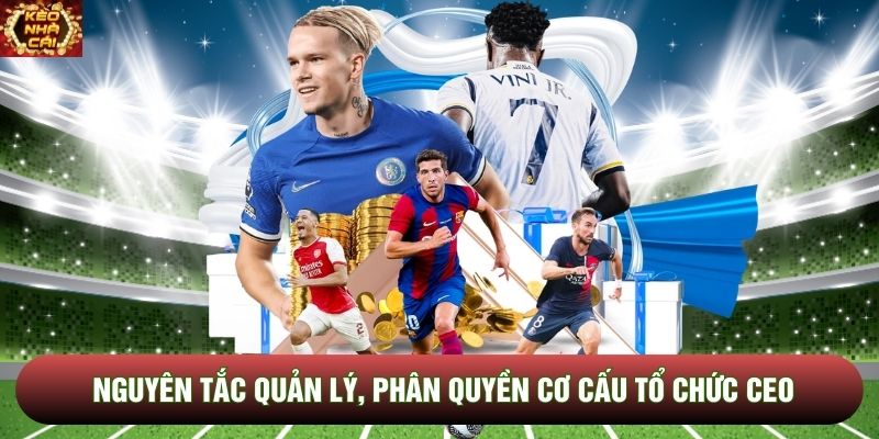 Nguyên tắc quản lý, phân quyền cơ cấu tổ chức CEO Nguyên tắc quản lý, phân quyền cơ cấu tổ chức CEO